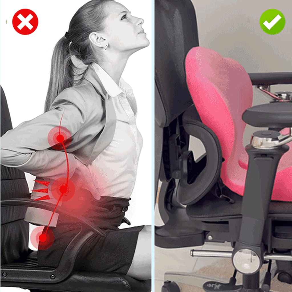 Ergonomic Lumbar Support Seat Cushion