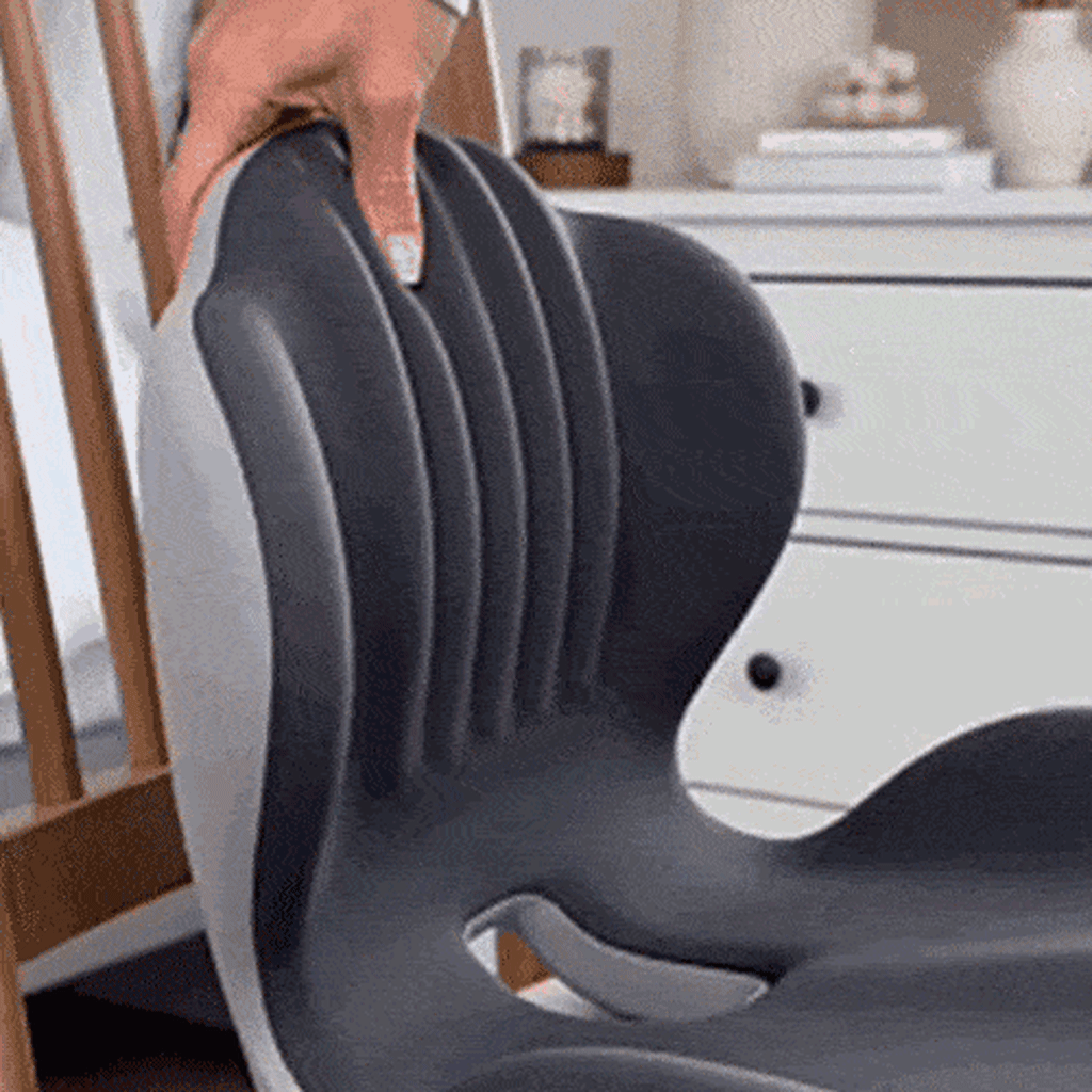 Ergonomic Lumbar Support Seat Cushion